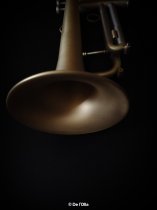 TORO B Flat Trumpet, by De l'Olla EX-DEMO