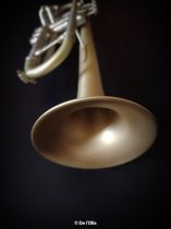 "TORO SPECIAL" B Flat Trumpet, by De l'Olla