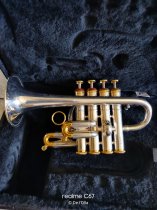 "ZEUS ERATO" Piccolo Trumpet in B Flat and A (made by KANSTUL) PRE-OWNED