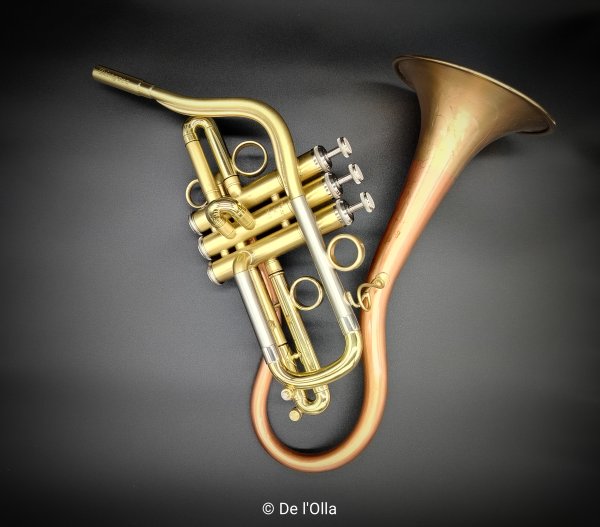 "DIONYSOS" Jazzophone in B Flat, by Paco