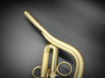 "DIONYSOS" Jazzophone in B Flat, by Paco